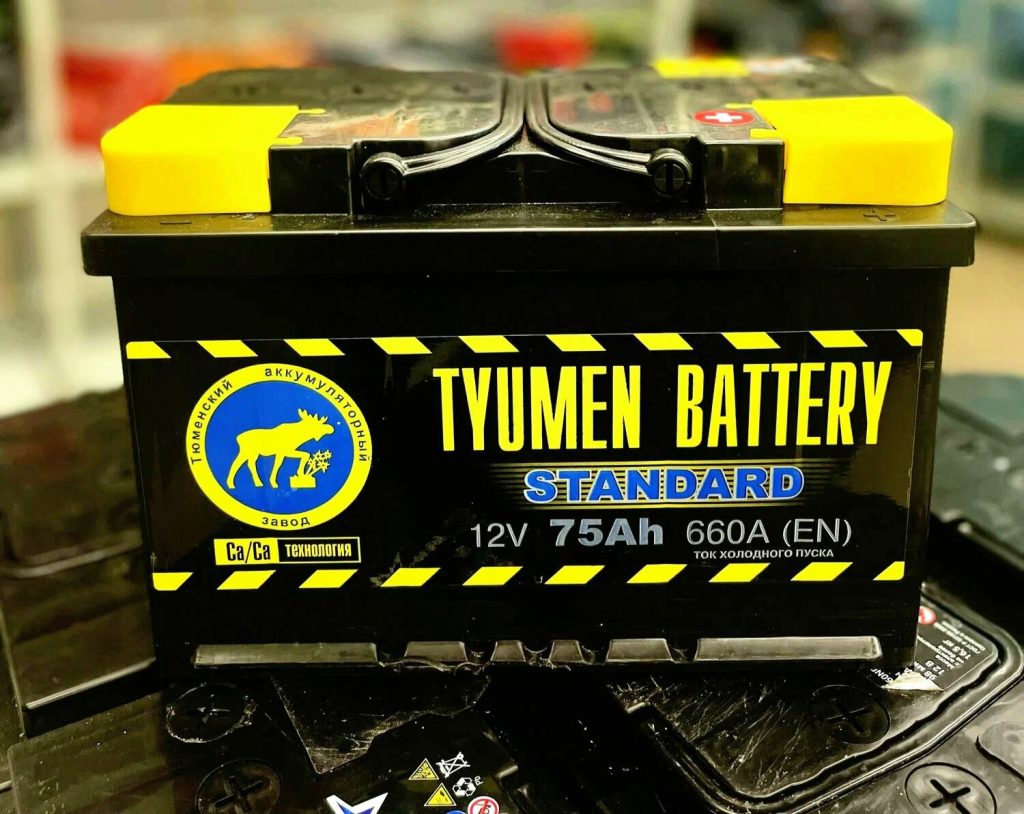 аккумулятор Tyumen Batbear Premium