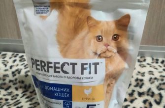 Perfect Fit с курицей