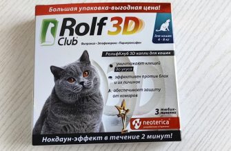 Rolf Club 3D