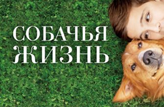 Собачья жизнь