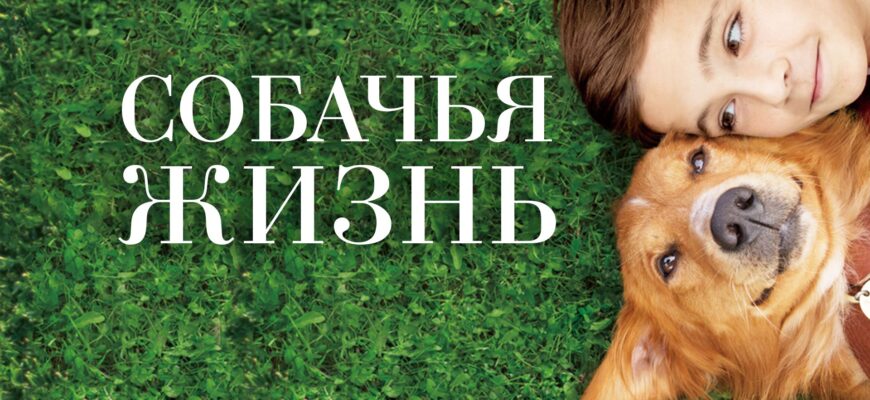 Собачья жизнь