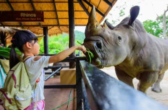 зоо OPEN ZOO KHAO KHEOW