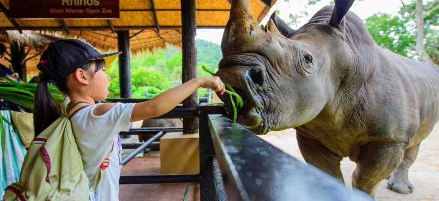 зоо OPEN ZOO KHAO KHEOW