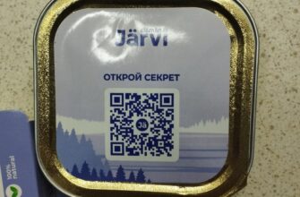 Järvi elämän holistic