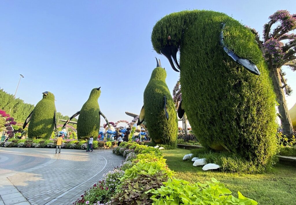 парк Dubai Miracle Garden