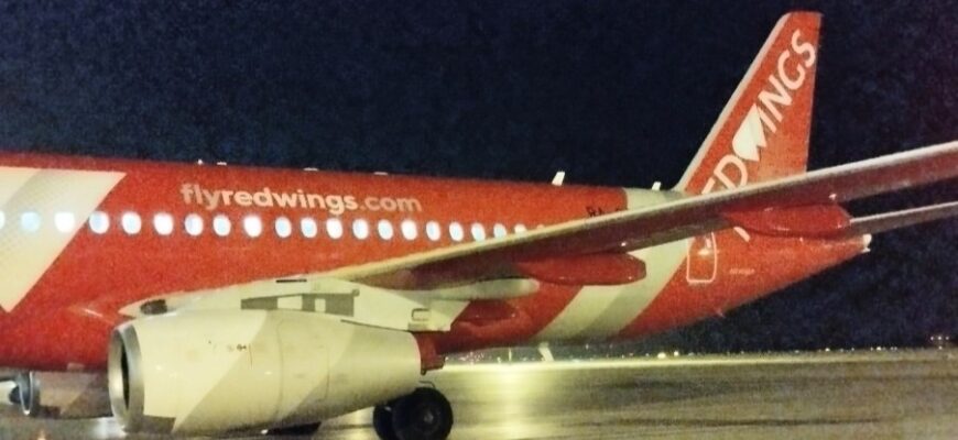 Red wings