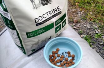 Сухой корм DOCTRINE