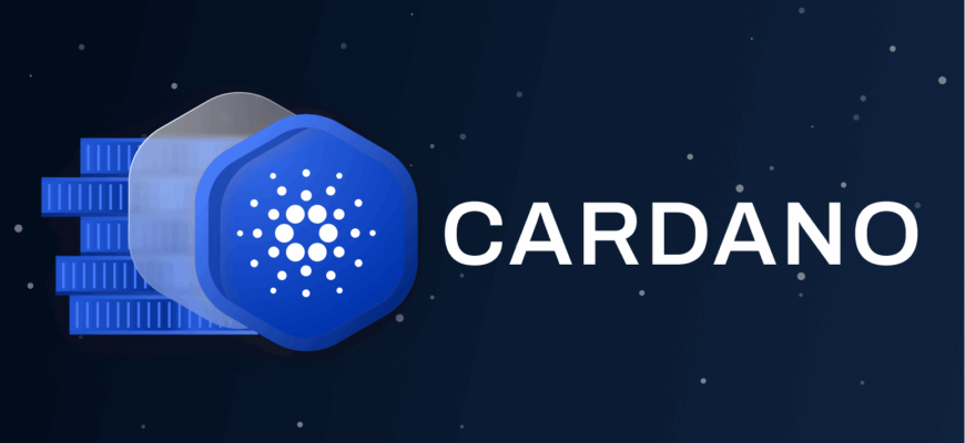 Cardano для оплаты