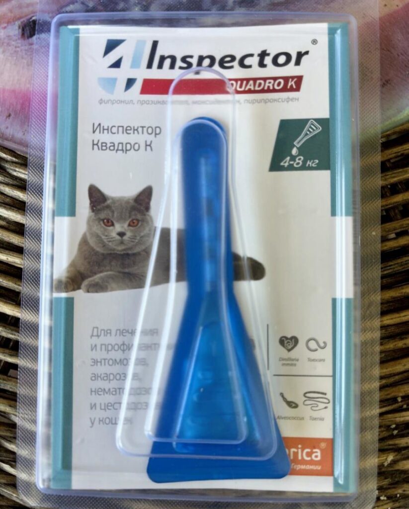 Neoterica Inspector Quadro К