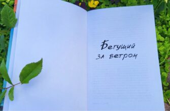 Бегущий за ветром, Халед Хоссейни