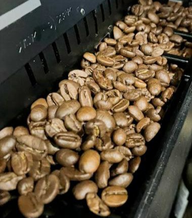 Кофе в зёрнах Poetti Daily Arabica Dark Sensation