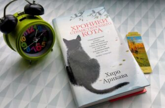 Хроники странствующего кота. Хиро Арикава