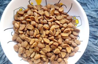 Корм для кошек PET’S BRUNCH имеющих доступ на улицу