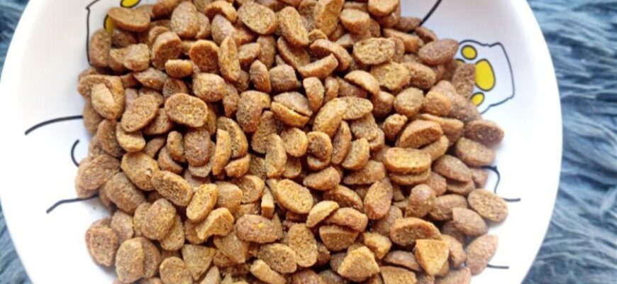 Корм для кошек PET’S BRUNCH имеющих доступ на улицу