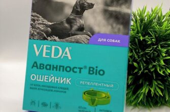 Ошейник против блох и клещей VEDA Аванпост Bio для собак