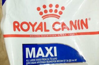 Royal Canin Maxi Adult