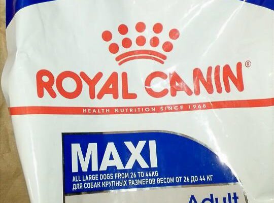 Royal Canin Maxi Adult