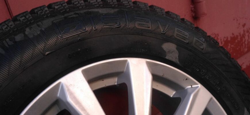 Gislaved Nord Frost 200 шины