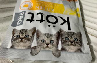 Корм для кошек Kott PRO влажный