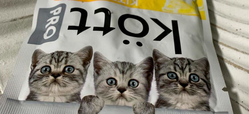 Корм для кошек Kott PRO влажный