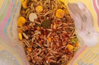 Happy Jungle 5 in 1 Daily Menu