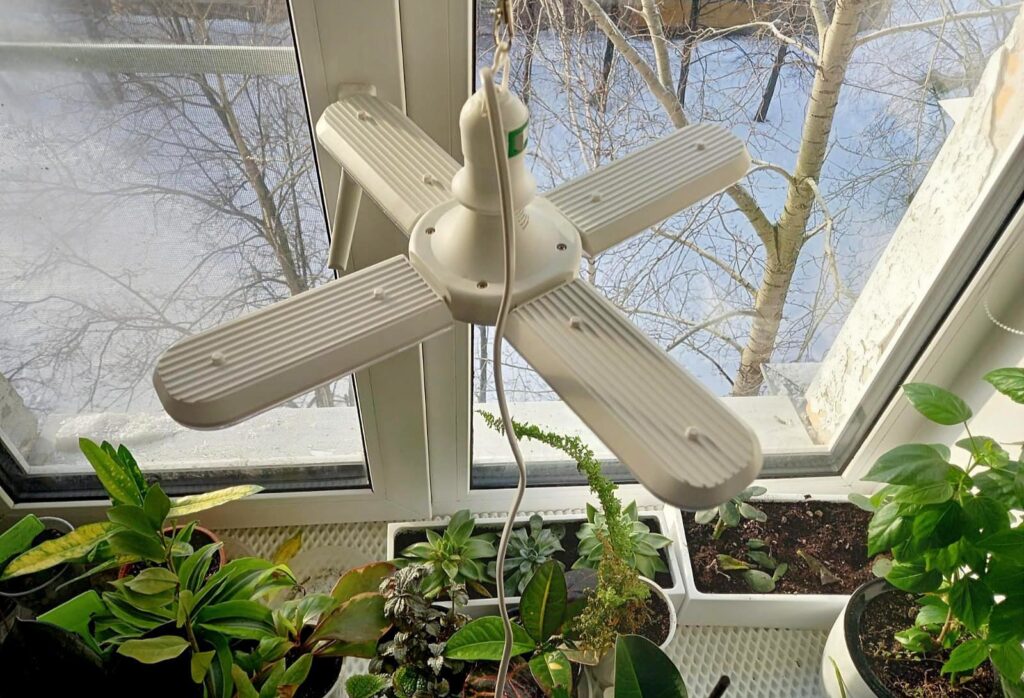 Фитолампа лепестковая Эра