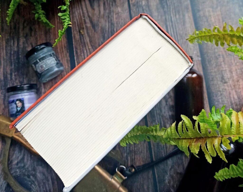 Последнее желание. Анджей Сапковский