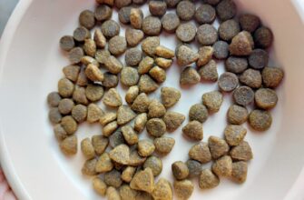 Сухой корм Organix С кроликом