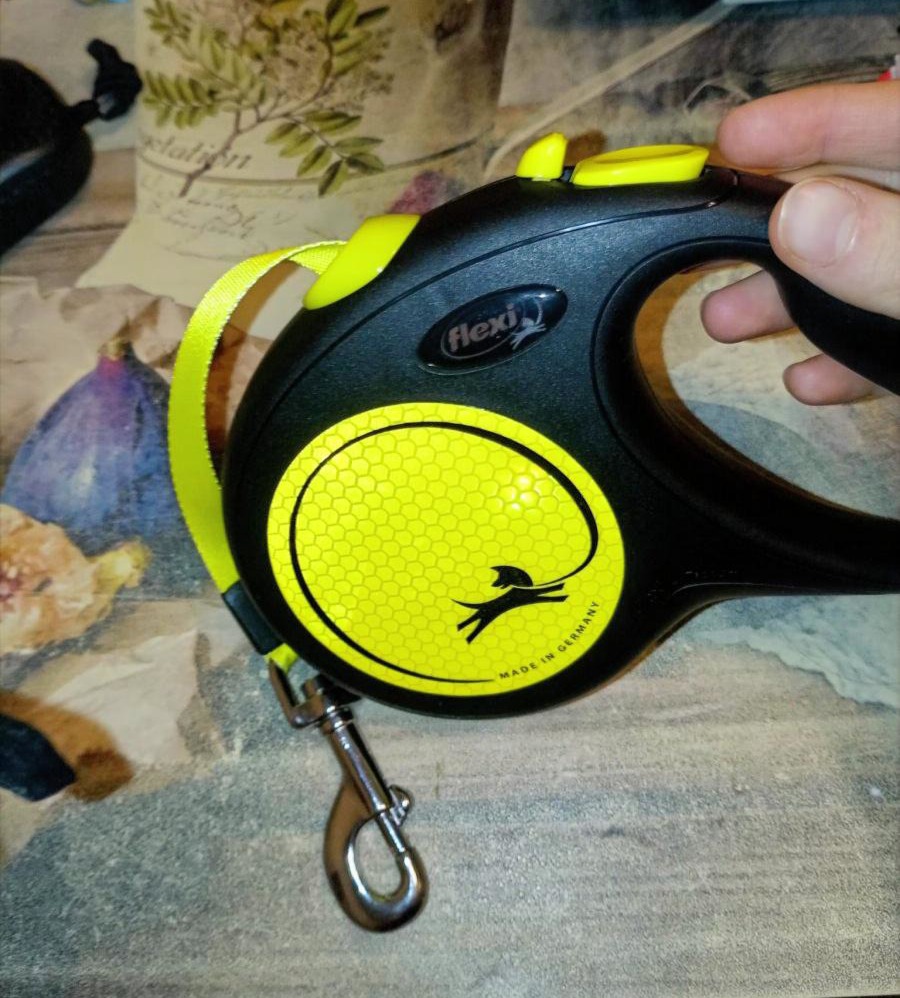 Flexi Giant Professional