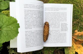 Радость малого, Френсин Джей