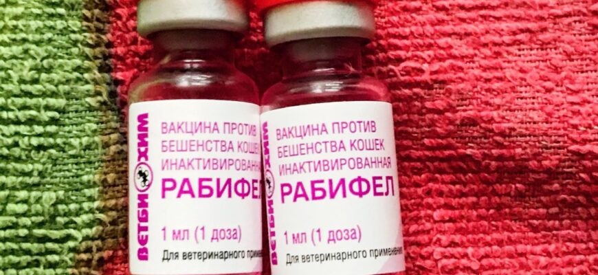 Вакцина Ветбиохим Рабифел против бешенства кошек инактивированная