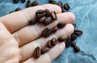 Кофе в зёрнах Нефть Бразилия Серрадо для эспрессо