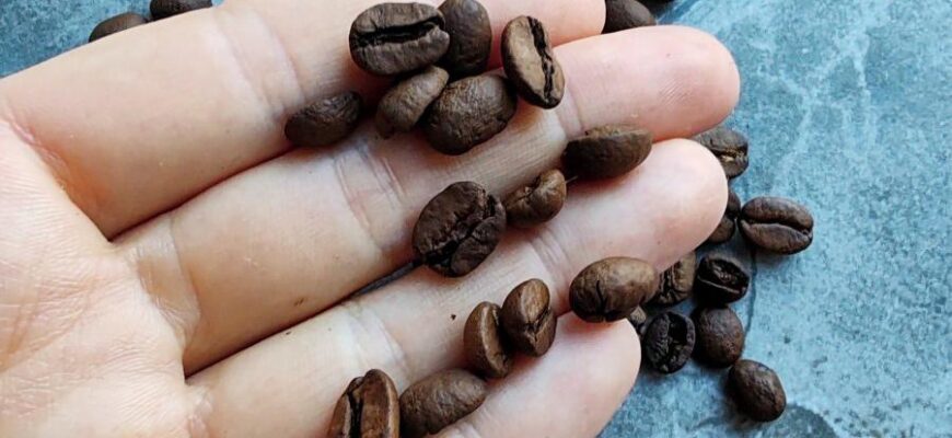 Кофе в зёрнах Нефть Бразилия Серрадо для эспрессо