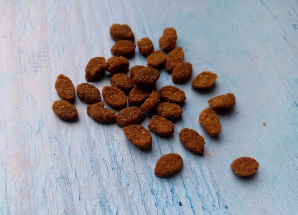 Корм для кошек Buddy&Sol премиум-класса