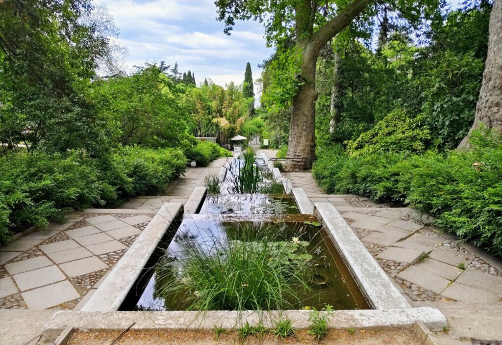 Никитский ботанический сад