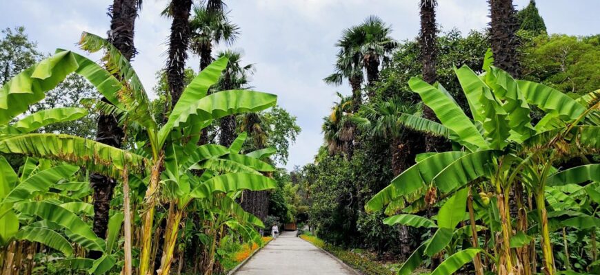 Никитский ботанический сад Крым