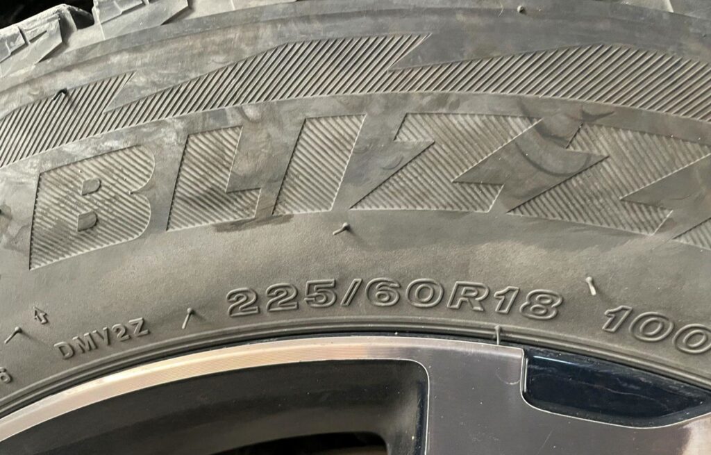шины Bridgestone BLIZZAK DM-V3